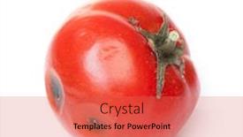  Presentation with fungus - Presentation theme with spoiled-tomato-on-white-background background and a coral colored foreground