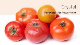  Presentation with fungus - Cool new PPT theme with spoiled-tomato-on-white-background backdrop and a yellow colored foreground