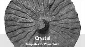  Presentation with humanity - Colorful presentation design enhanced with sponge hexactinellida cretace superior seen backdrop and a gray colored foreground