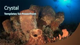  Presentation with divers - Cool new slides with sponge on coral reef backdrop and a navy blue colored foreground