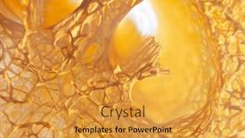  Presentation with tropical - Colorful slides enhanced with sponge-on-tropical-beach-macro backdrop and a gold colored foreground