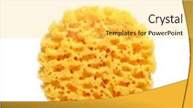  Presentation with marine - Audience pleasing slides consisting of sponges for bathing backdrop and a yellow colored foreground