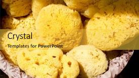  Presentation with marine - Theme featuring sponges background and a yellow colored foreground