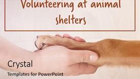  Presentation with animal - Slides featuring animal shelters dog paw background and a lemonade colored foreground