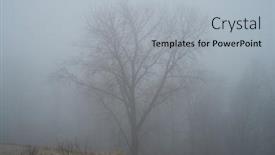  Presentation with spooky - Audience pleasing presentation theme consisting of spooky scene of a lonely bare tree in a park backdrop and a light gray colored foreground