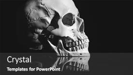  Presentation with spooky - Presentation theme featuring spooky-skull-for-halloween-horror background and a dark gray colored foreground