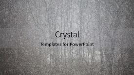  Presentation with dark forest landscape - Theme with spooky winter forest landscape heavy snowfall taken with telephoto lens dark background concept background and a light gray colored foreground