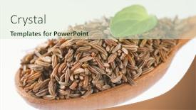  Presentation with seeds - PPT theme consisting of spoon-of-caraway-seeds-close background and a soft green colored foreground