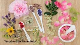  Presentation with herb - PPT theme with spoons and mortar with pestle background and a coral colored foreground