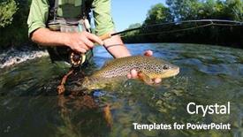  Presentation with fisherman - Audience pleasing presentation theme consisting of sport fishing - closeup of fly-fisherman holding brown backdrop and a tawny brown colored foreground