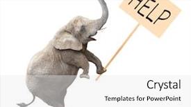  Presentation with ecology animal - Colorful slide deck enhanced with elephant with protest board animal backdrop and a white colored foreground