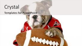  Presentation with kids play sports children sports - Cool new PPT layouts with sports hound- english bulldog dressed backdrop and a light gray colored foreground
