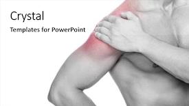  Presentation with shoulder pain - Presentation theme enhanced with green turtle in seashore of tropical island tortoise underwater photo marine tortoise undersea green turtle in natural environment sea turtle swims underwater marine animal of tropical seashore background and a light gray colored foreground.