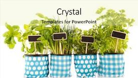  Presentation with herbs - Slide deck enhanced with spot diffrence - several pots with kitchen herbs background and a blonde colored foreground