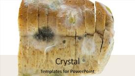  Presentation with molds - PPT theme having aflatoxin - closeup texture of black yellow background and a coral colored foreground