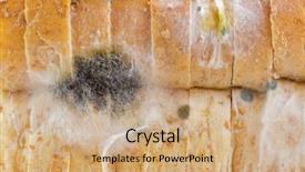  Presentation with molds - Audience pleasing slide set consisting of aflatoxin - closeup texture of black yellow backdrop and a coral colored foreground