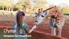  Presentation with africa religion - Amazing PPT theme having spots game - cute little girl feeding giraffes backdrop and a tawny brown colored foreground