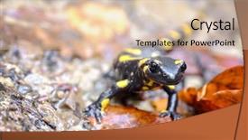  Presentation with closeup of ground spices cumin - Beautiful PPT theme featuring spotted salamander on ground closeup backdrop and a lemonade colored foreground