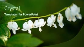  Presentation with diabetes and heart - Slides enhanced with spray-of-the-bleeding-heart background and a tawny brown colored foreground