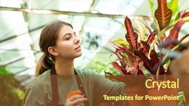  Presentation with sprayer - Amazing PPT theme having sprayers - image of beautiful woman gardener backdrop and a  colored foreground