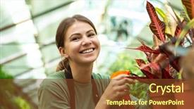  Presentation with sprayer - Presentation theme enhanced with sprayers - image of caucasian girl gardener background and a  colored foreground