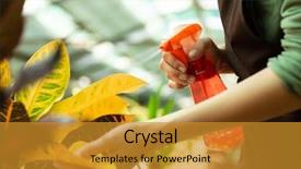  Presentation with sprayer - Presentation theme having sprayers - image of young woman gardener background and a  colored foreground