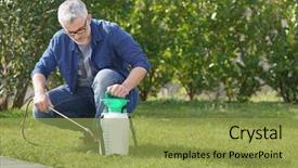  Presentation with sprayer - Presentation theme having sprayers - mature man using garden sprayer background and a yellow colored foreground