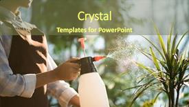  Presentation with young plant - Presentation consisting of sprayers - young florist in apron holding background and a  colored foreground