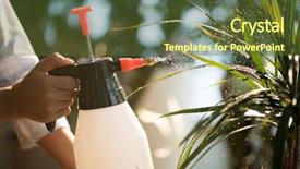  Presentation with water plant - Colorful presentation theme enhanced with sprayers - young staff of florist shop backdrop and a  colored foreground