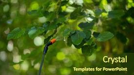  Presentation with pesticide - PPT theme consisting of spraying chemicals crop - close-up of pesticide sprayed background and a tawny brown colored foreground