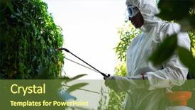  Presentation with pest control - PPT theme with spraying chemicals crop - man doing pest control background and a tawny brown colored foreground