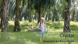  Presentation with oil palm plantation - Colorful presentation design enhanced with spraying herbicides to poisoning weed backdrop and a seafoam green colored foreground