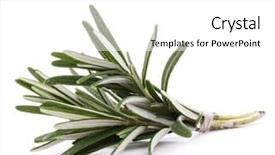  Presentation with lemongrass herb plant fresh leaves - Amazing theme having two brooms for cleaning leaves in the autumn park against the background of the daughter and father who are cleaning the fallen leaves with their hands stand by the tree backdrop and a coral colored foreground