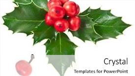  Presentation with holly christmas frame - PPT layouts featuring sprig of european holly ilex background and a white colored foreground