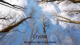  Presentation with forest - Slide set having fixed wing aircraft - light plane landing palo alto background and a light blue colored foreground