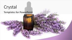  Presentation with aromatherapy oil - PPT theme featuring teddy bear and red sock christmas toy on a christmas tree under snow background and a tawny brown colored foreground