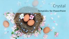  Presentation with rebirth - Theme enhanced with spring-a-time-for-rebirth background and a arctic colored foreground
