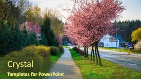  Presentation with cherry blossom - Theme having spring-alley-of-blossom-pink background and a tawny brown colored foreground