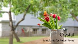  Presentation with summer flowers - Slides enhanced with spring and gardening concept - red background and a coral colored foreground