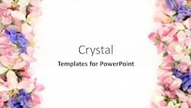  Presentation with apple flower - Beautiful PPT theme featuring spring-apple-blossom-and-bluebell backdrop and a sky blue colored foreground