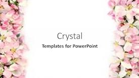  Presentation with mothers - Presentation enhanced with spring-apple-blossom-border background and a white colored foreground