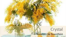  Presentation with purple rustic spring - Presentation theme enhanced with spring arrangement of mimosa and lemon background and a yellow colored foreground
