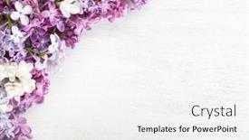  Presentation with flowers border - Audience pleasing PPT layouts consisting of spring-background-different-tiny-flowers backdrop and a white colored foreground