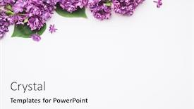  Presentation with white sheet - PPT layouts featuring pastle purple - spring background for design lilac background and a white colored foreground