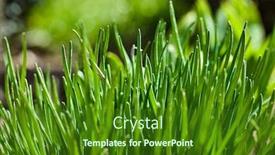  Presentation with farming - Cool new slide set with spring-background-green-grass-close backdrop and a forest green colored foreground