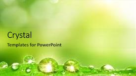  Presentation with dew - Presentation design with spring background leaves with dew background and a yellow colored foreground