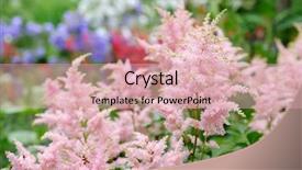  Presentation with red white blue - Cool new theme with spring background pink green blue backdrop and a lemonade colored foreground