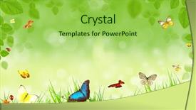  Presentation with butterflies - Theme with spring background with butterflies background and a yellow colored foreground