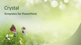  Presentation with ladybug - Colorful presentation design enhanced with background with flowers and ladybug backdrop and a soft green colored foreground