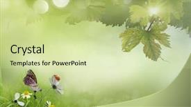  Presentation with ladybug - Colorful presentation enhanced with background with flowers and ladybug backdrop and a soft green colored foreground